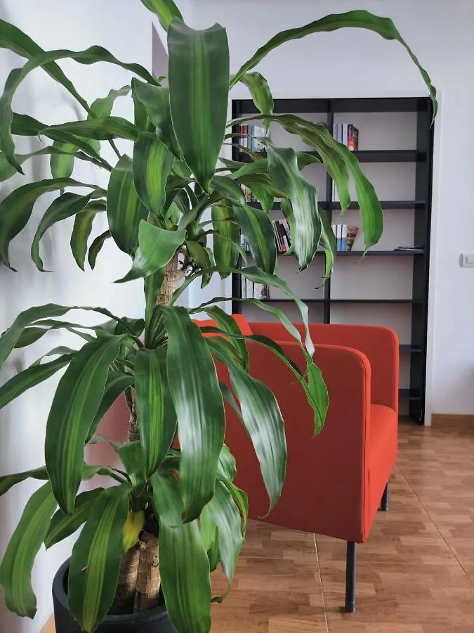 Appartamento Casa Bonblet Bajamar
